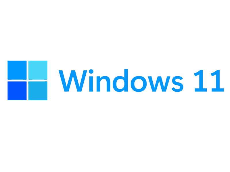 windows 11